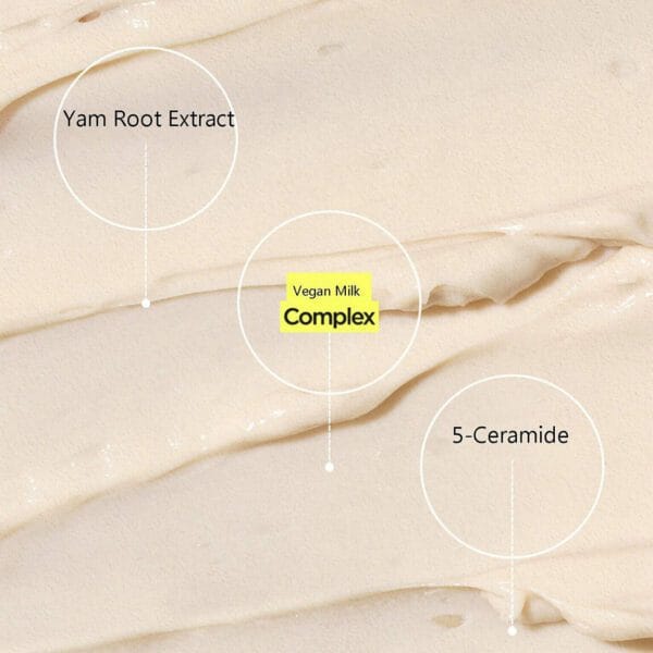Isntree Yam Root Vegan Milk Cream 80ml - Simpli Cosmetics Kenya Isntree Yam Root Vegan Milk Cream 80ml - Image 3